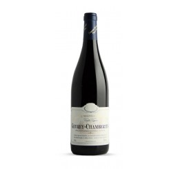 Gevrey-Chambertin 2019 "Old Vines" - Domaine Mazilly - Bourgogne